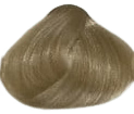 Eazicolor Permanent Hair Color - 11.1 Hi-Lift Ash Blonde 60ml
